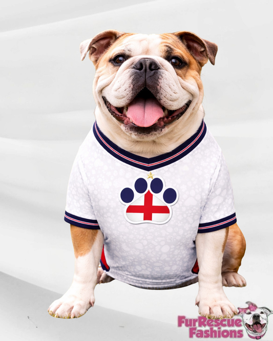 England Dog Jersey or Ruffle Dress – World Cup 2026 | Custom Pet Soccer Shirt ⚽️🐾