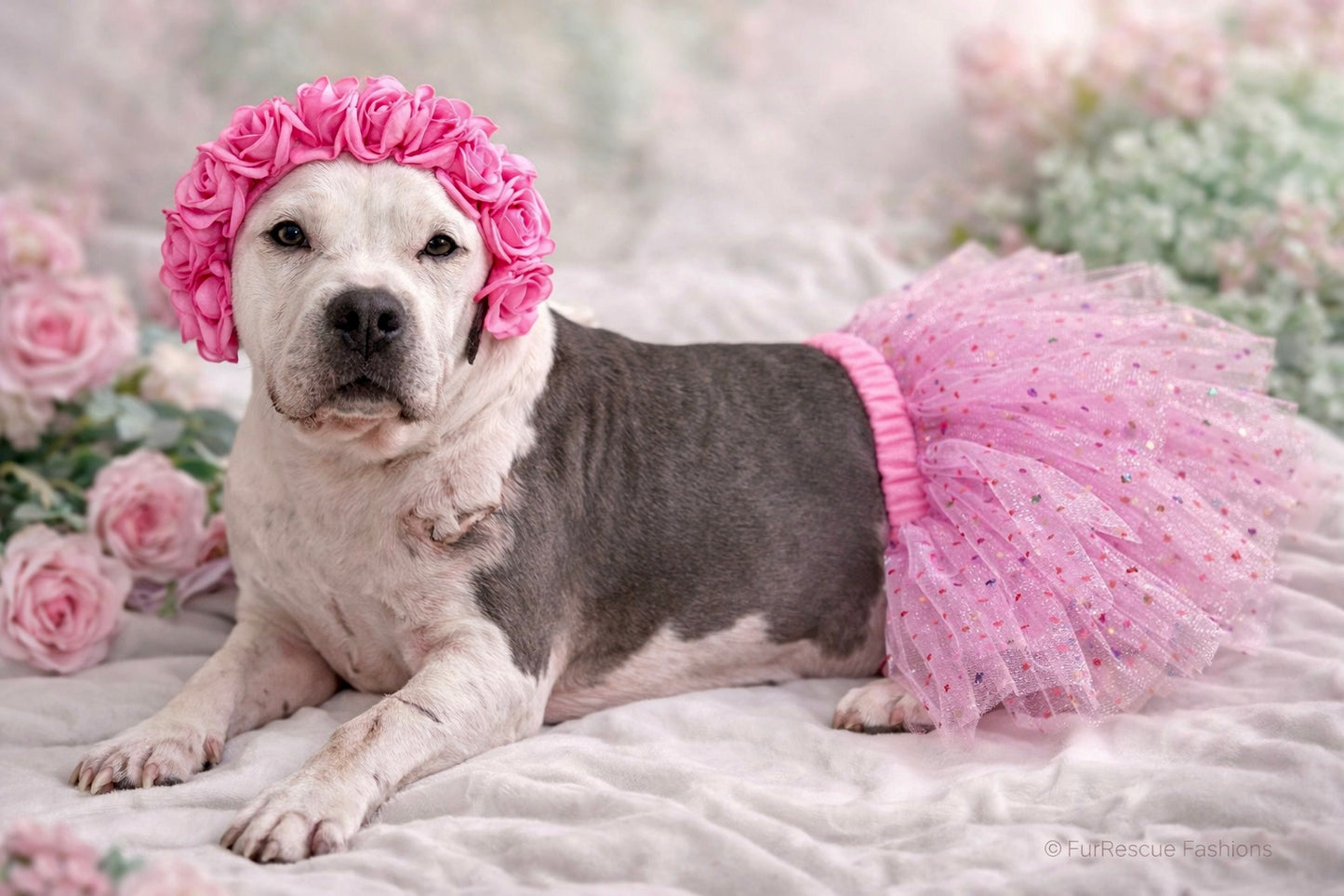 Sparkly Hearts Valentine Dog Tutu