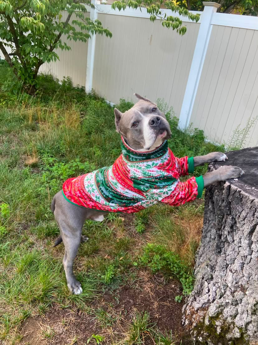 Cozy Christmas Knit Fair Isle - Dog Pajama with Green Neck & Trim/Sleeves