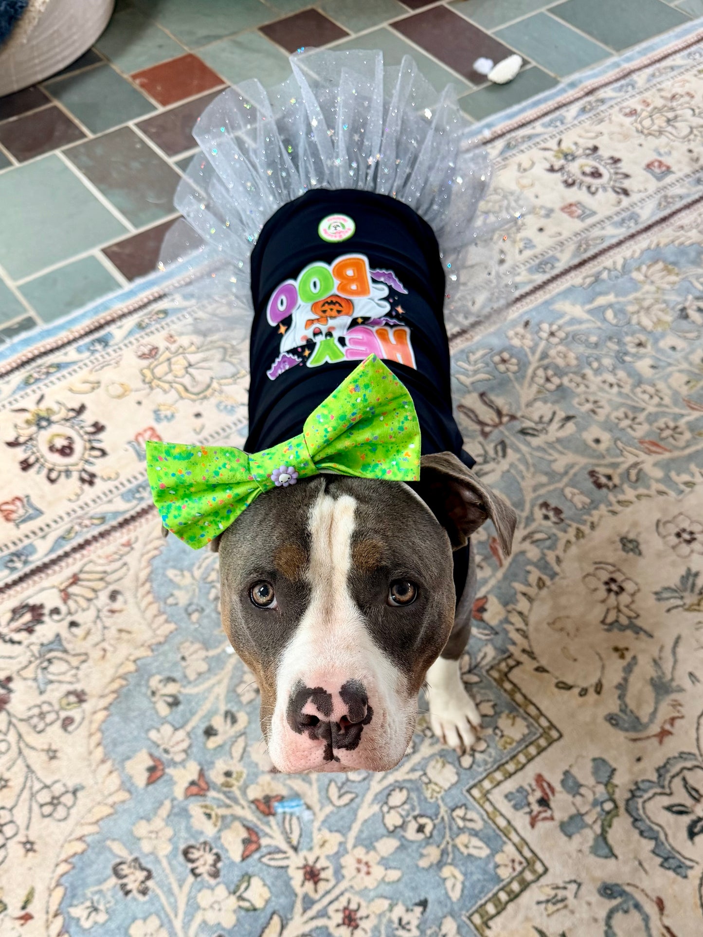 Hey Boo Sparkle Tutu Dog Dress