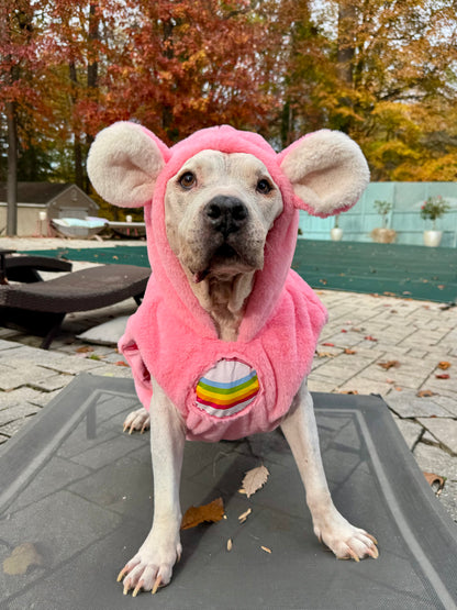 Cheer Bear Light-Up Dog Hoodie – Pink Fleece Care Bear Outfit with Ears, Tail & Rainbow Patch