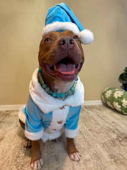 Winter Frost Santa Dog Coat