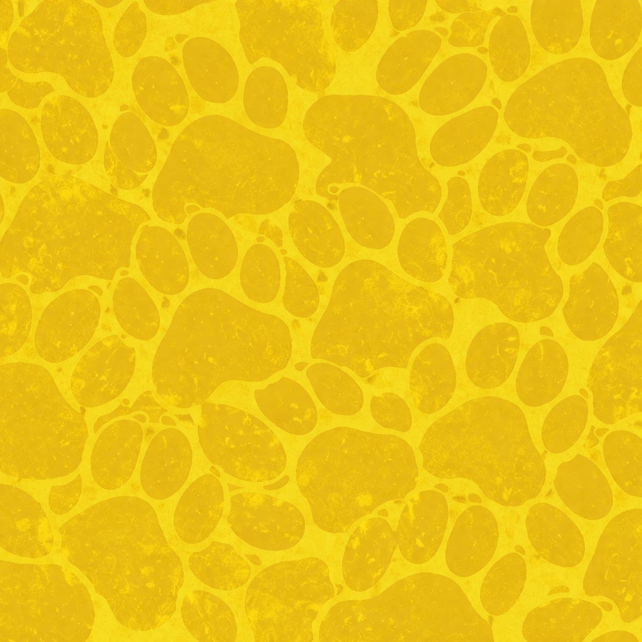 Colombia Dog Jersey or Ruffle Dress – World Cup 2026 | Custom Pet Soccer Shirt ⚽️🐾