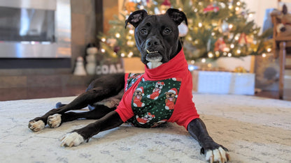 Merry Pitmas Dog Pajama with Red Neck & Trim/Sleeves