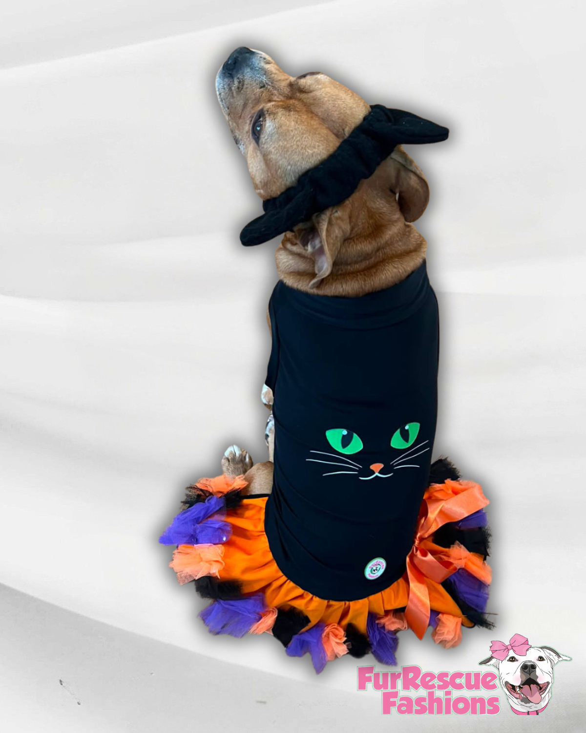 Midnight Kitty Dog Tutu Dress