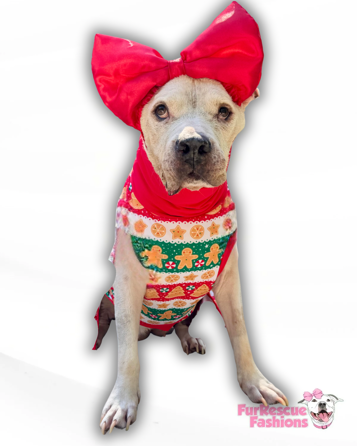 Peppermint & Gingerbread Dreams Dog Pajama with Red Neck & Trim/Sleeves