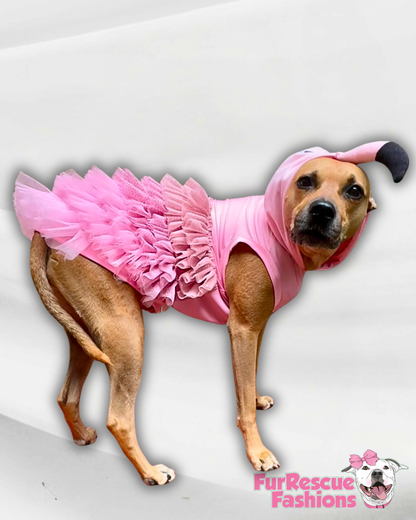 FlaminGO Fabulous Dog Costume