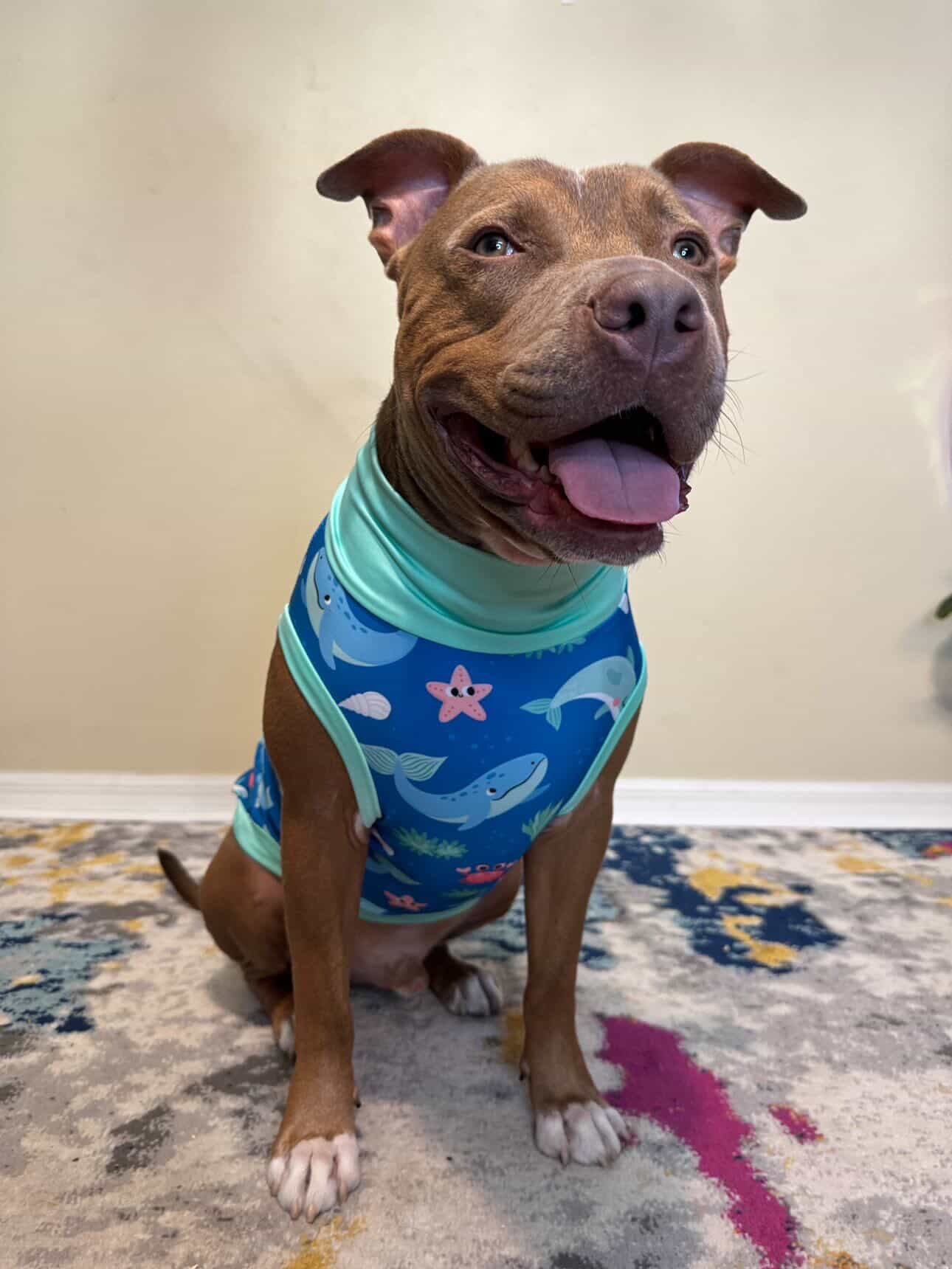 Whale Hello There - Dog Pajama with Mint Neck & Trim/Sleeves