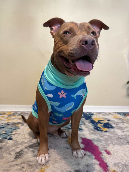 Whale Hello There - Dog Pajama with Mint Neck & Trim/Sleeves