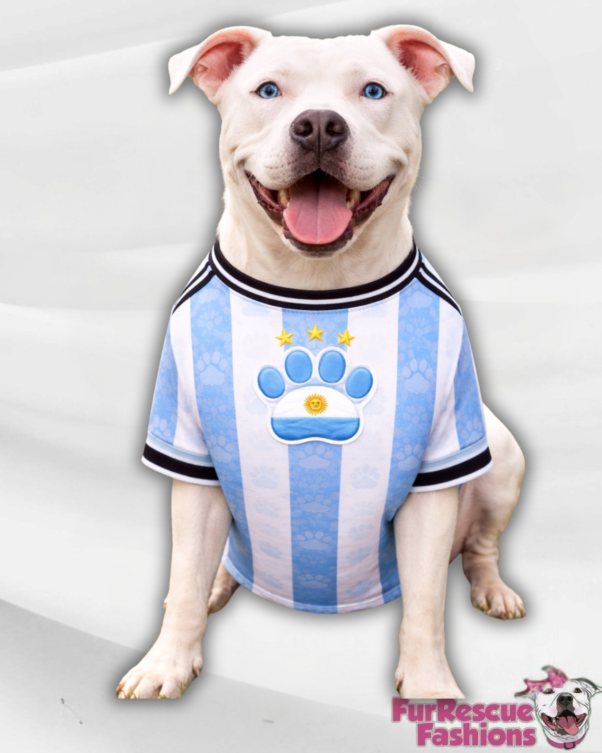 Argentina Dog Jersey or Ruffle Dress – Soccer Cup 2026 | Custom Pet Soccer Shirt ⚽️🐾