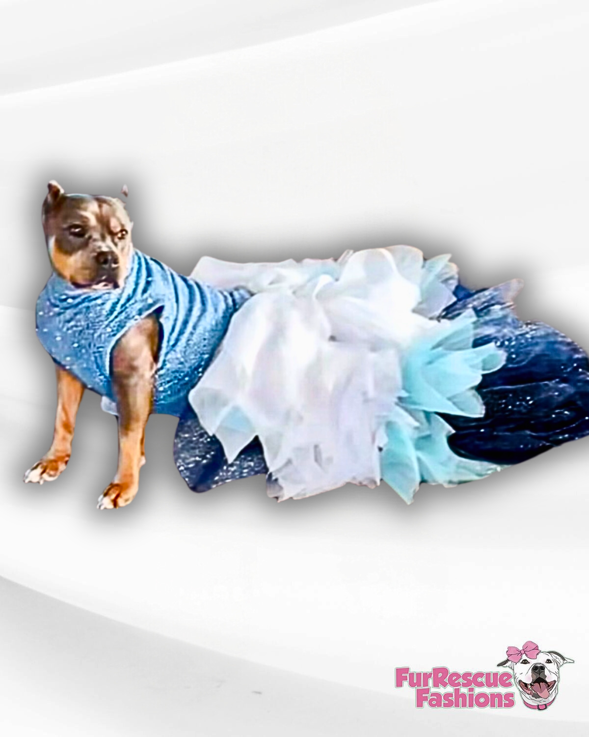 The Hamptons Gala Dog Gown - 3 Styles WITH & WITHOUT Attachable Train