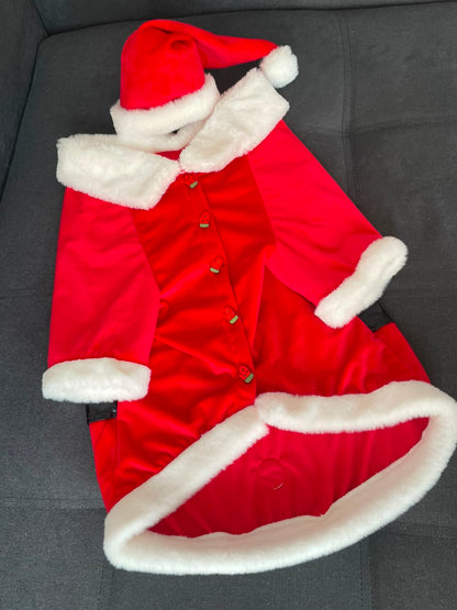 Classic Santa Dog Coat