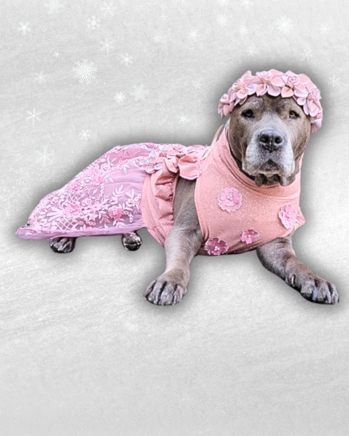 Fancy Tutu Dress | FurRescue Fashions Fancy Tutu Dress | FurRescue Fashions