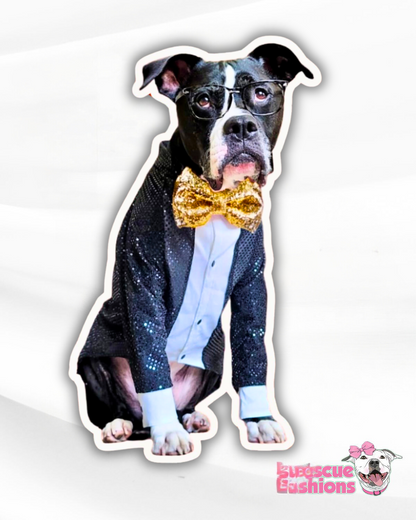 Xmas & NYE Fancy Sparkling Tail Tuxedo With Bow tie