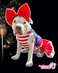 I Love America Dog Tutu Dress