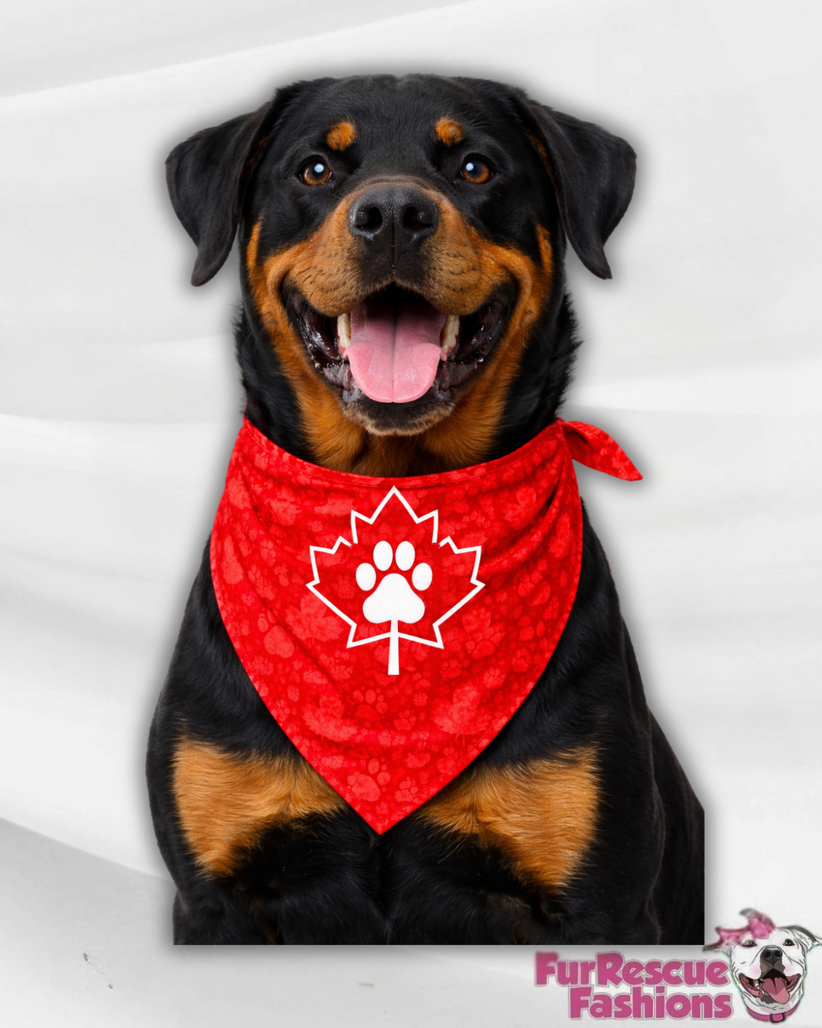United Paws Soccer Cup UV50 Dog Bandana – Team Paw Edition 🐾⚽️