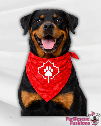 United Paws Soccer Cup UV50 Dog Bandana – Team Paw Edition 🐾⚽️