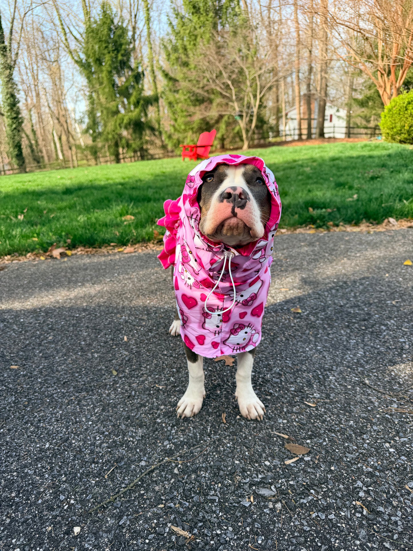Hello Cutie Rain Jacket - Cape - Vest