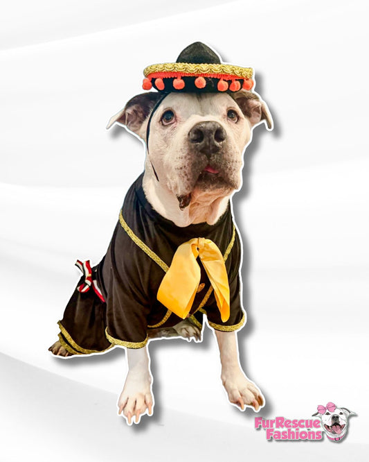 Fiesta Pup Mariachi Dress Dog Costume