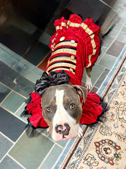 Nutcracker Princess Couture Dog Dress