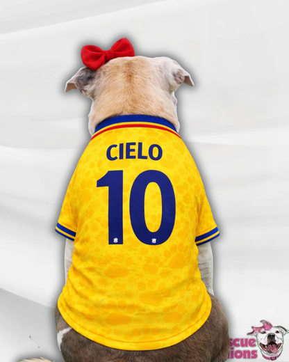 Colombia Dog Jersey or Ruffle Dress – World Cup 2026 | Custom Pet Soccer Shirt ⚽️🐾