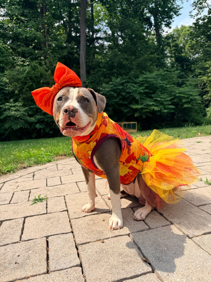 2026 Fall & Halloween Dog Tutu Dress (Available in all patterns)