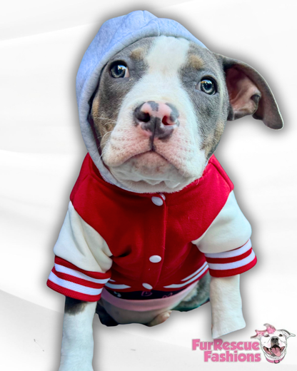 Paw Squad Varsity Hoodie – Dog Letterman Jacket with Hood (Available in Red, Pink & Blue)