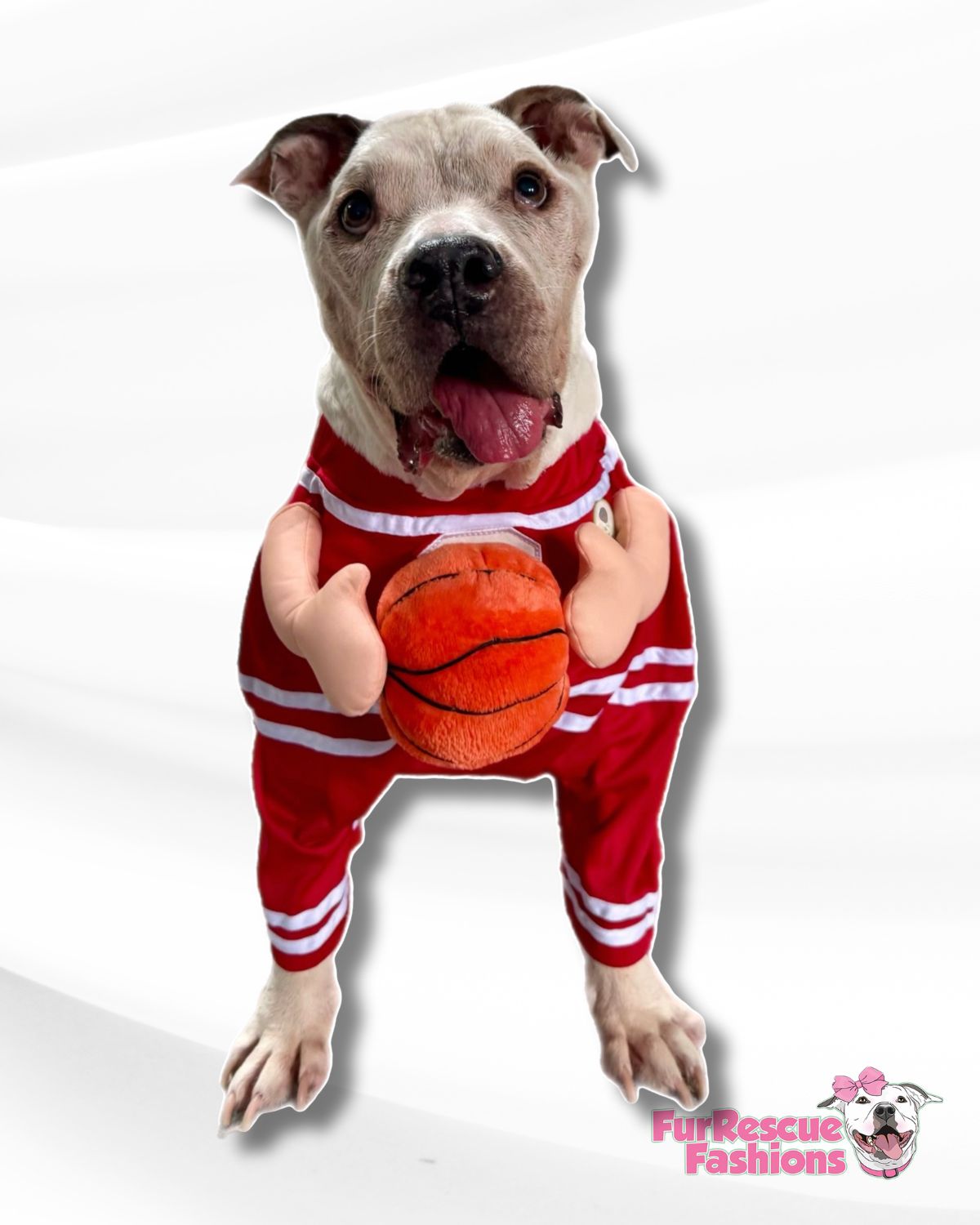 Basketball MVP Dog Costume