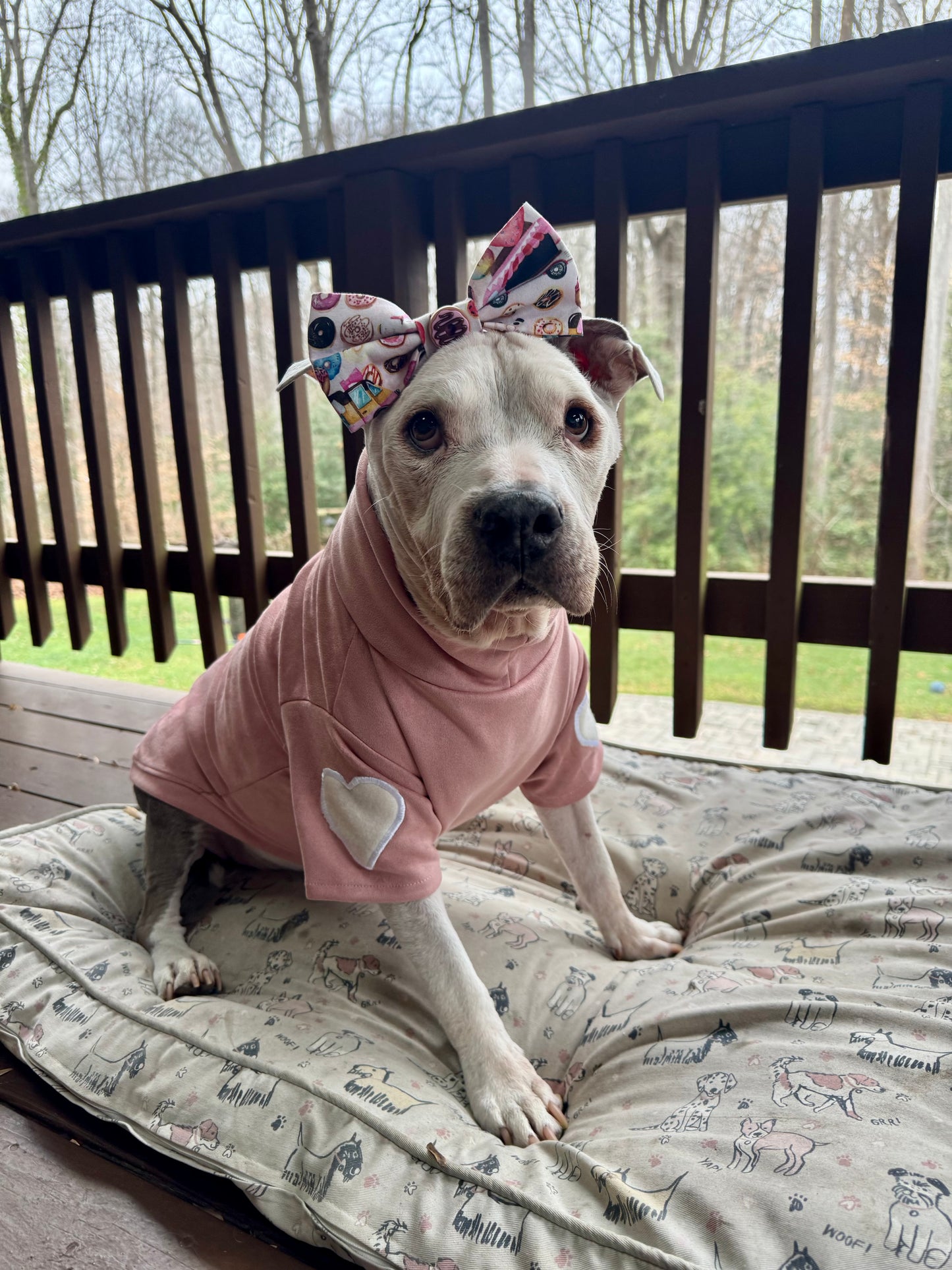 Rose Velour Dog Crewneck With Elbow Heart Patches