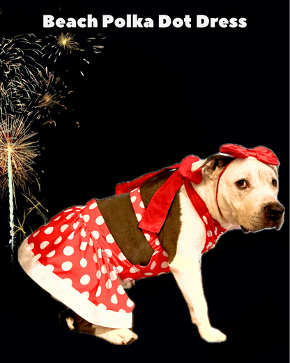 Beach Polka Dot Dog Dress