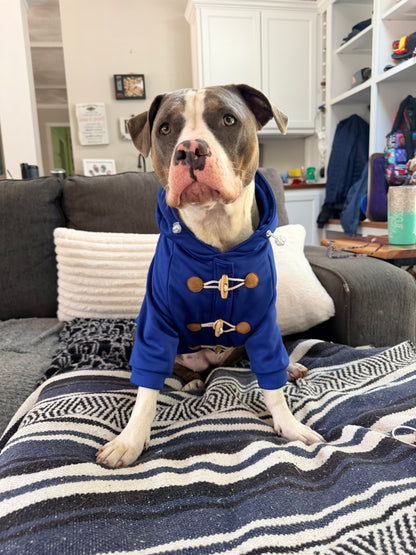 PAWddington Adventure Bear Dog Hoodie