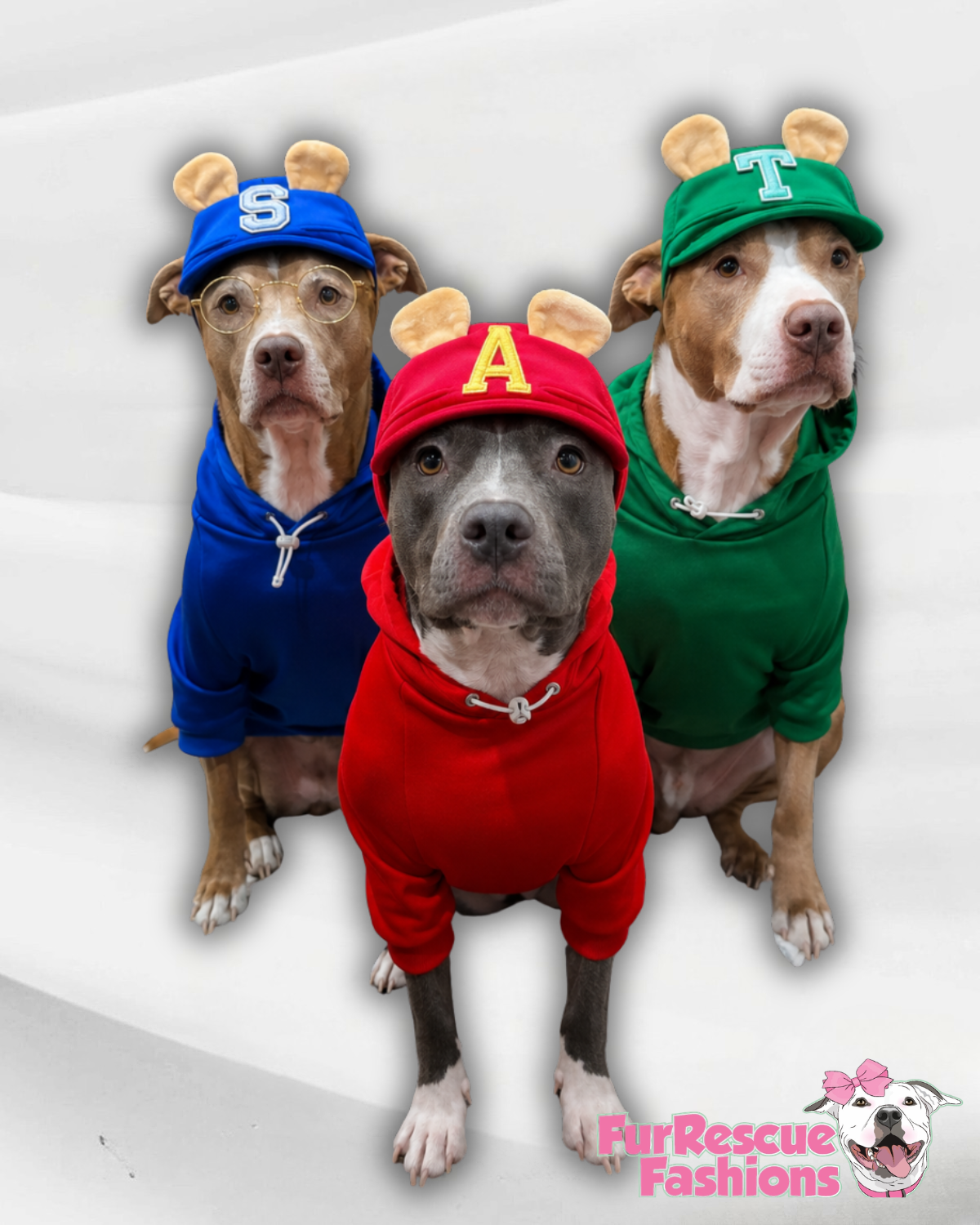The PAWmunks Dog Hoodie Collection