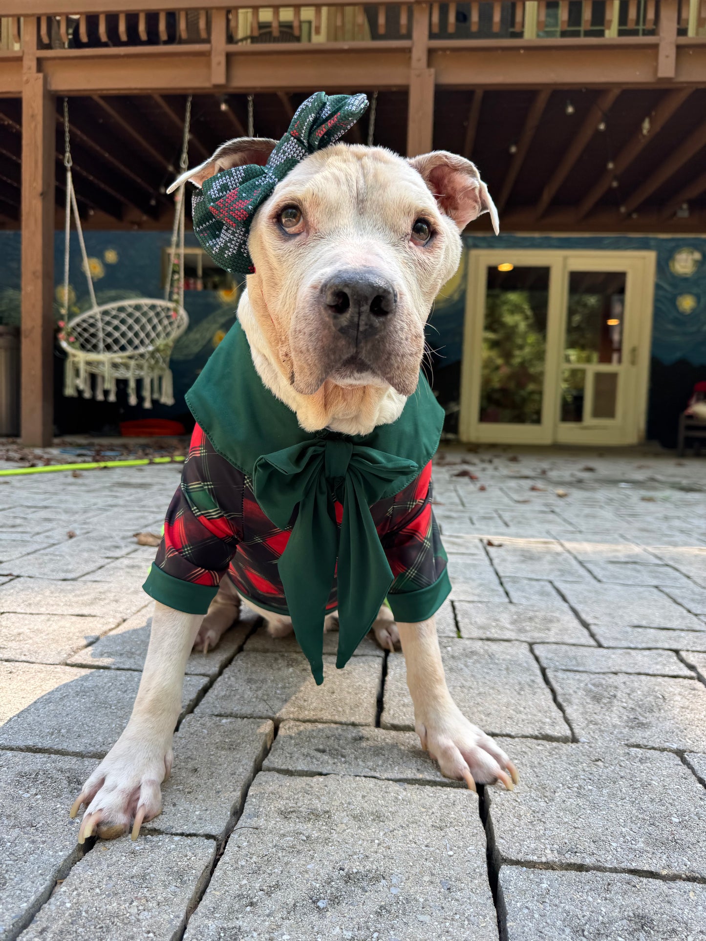 O Come, All Ye Plaidful Dog Pajama with Green Neck & Trim/Sleeves