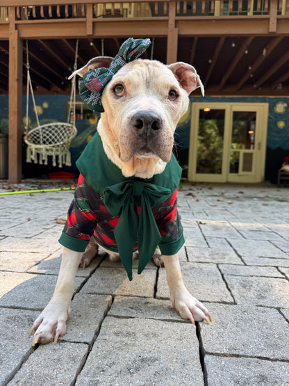 O Come, All Ye Plaidful Dog Pajama with Green Neck & Trim/Sleeves