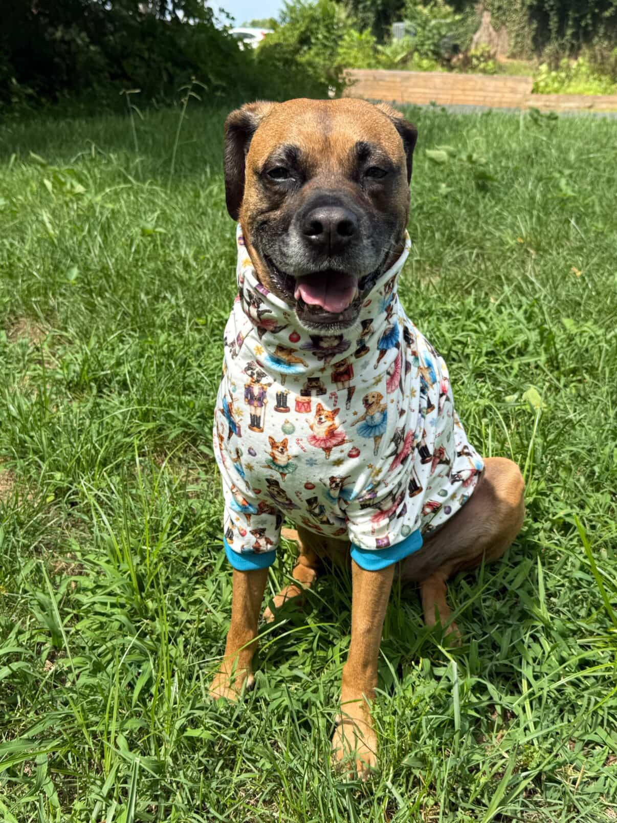 Nutcracker Ballet Dogs - Dog Pajama with Baby Blue or Pink Neck & Trim/Sleeves