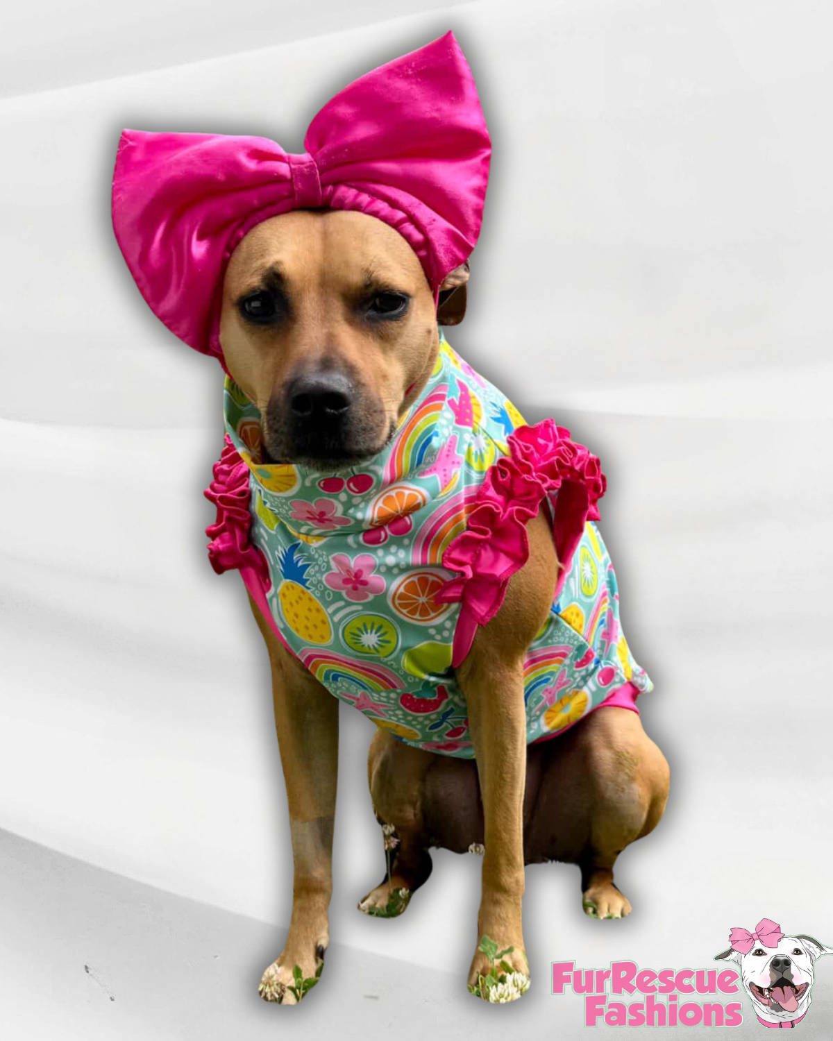 2026 Summer Dog Shirt With Ruffles (AVAILABLE IN ANY PRE-ORDER PATTERN)