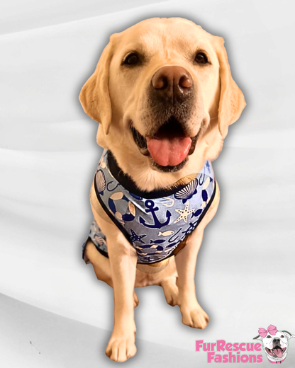 Sailor Seas & Nautical Dreams- Dog Pajama with Navy Blue Neck & Trim/Sleeves