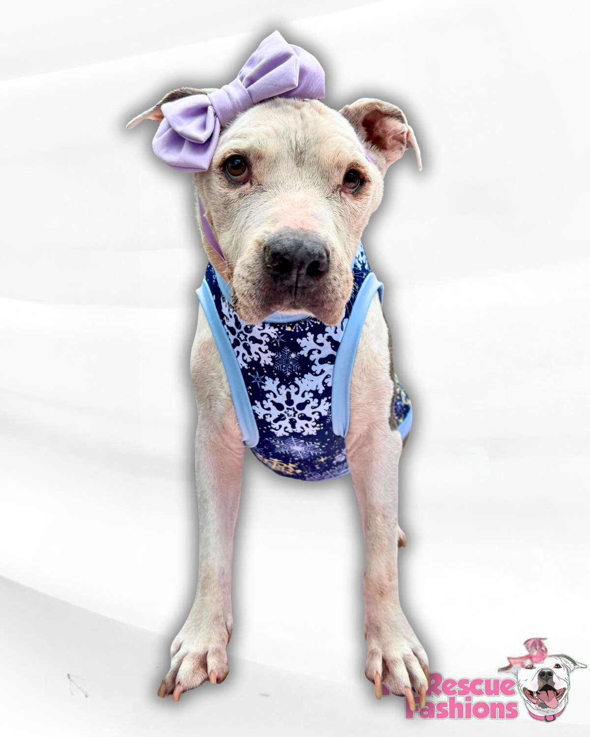 Fancy Snow Dog Pajama with Light Blue Neck & Trim/Sleeves