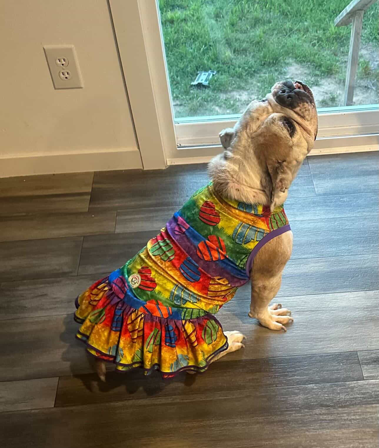 Rainbow Pride Hearts - Dog Pajama with Purple Neck & Trim/Sleeves