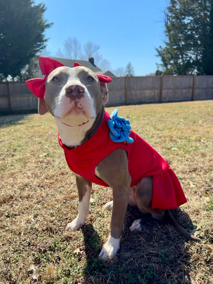Classic Bloom Dog Dress