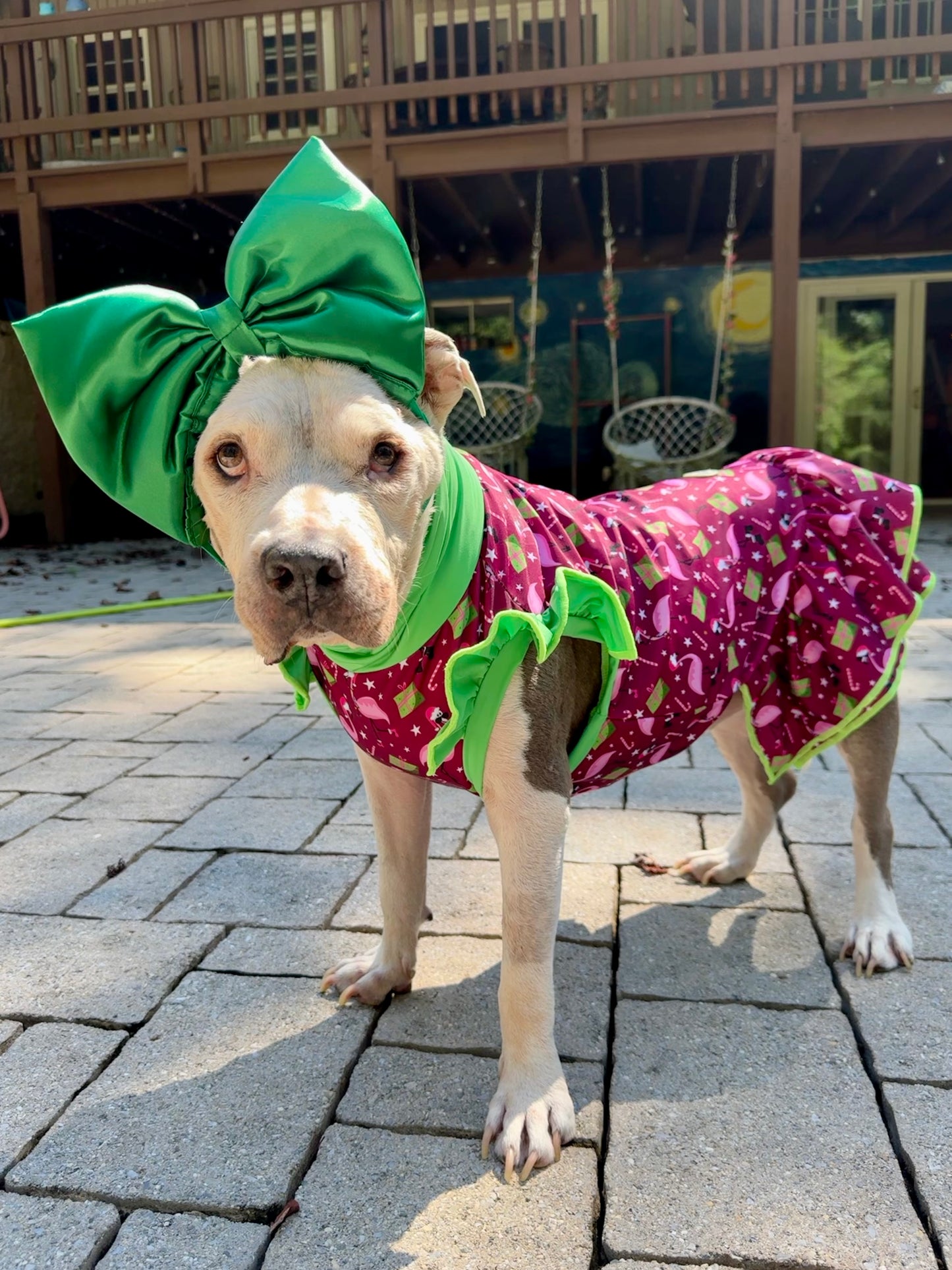 Fa-La-La-Mingo Dog Pajama with Green Neck & Trim/Sleeves