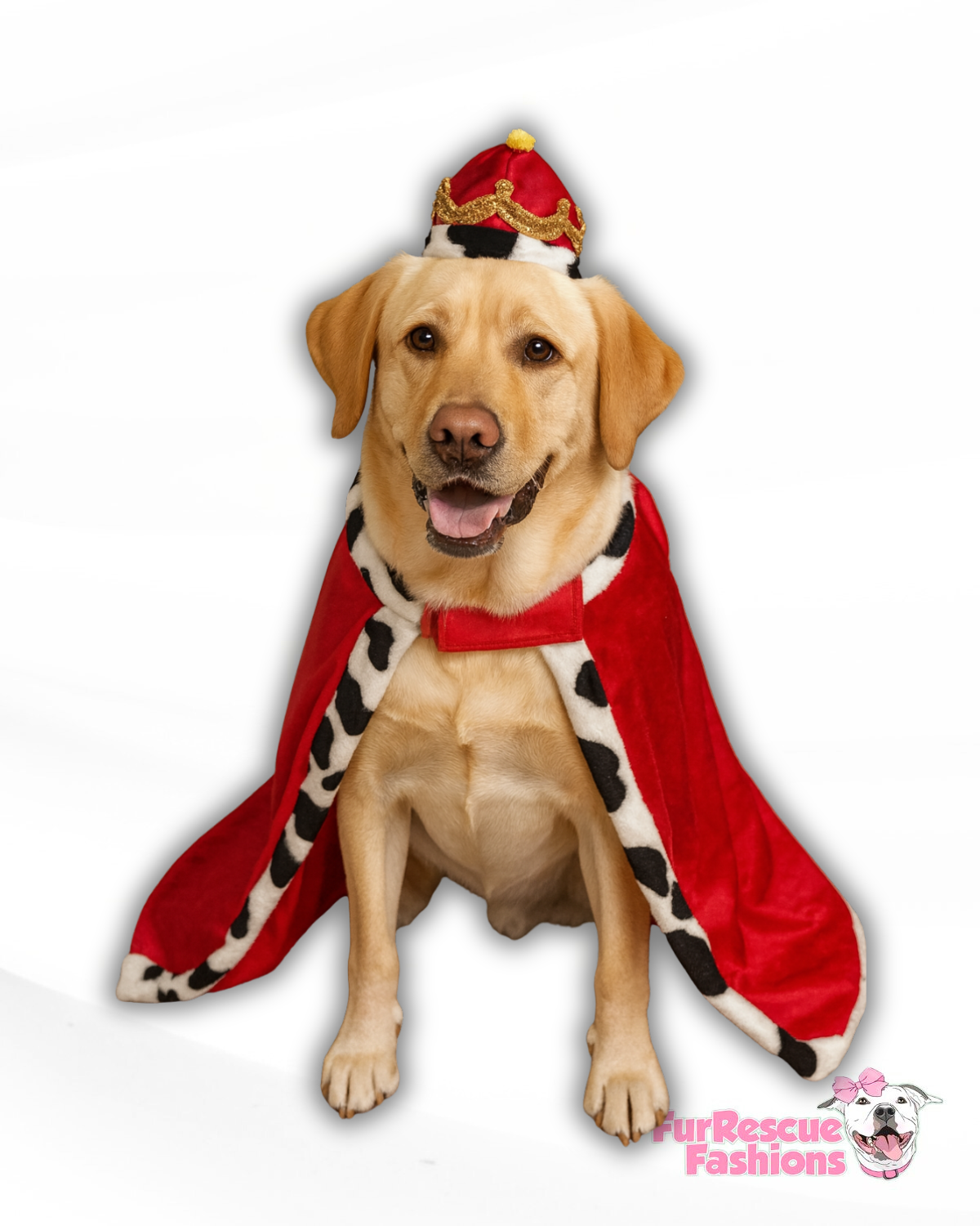 King Cape Pup Costume