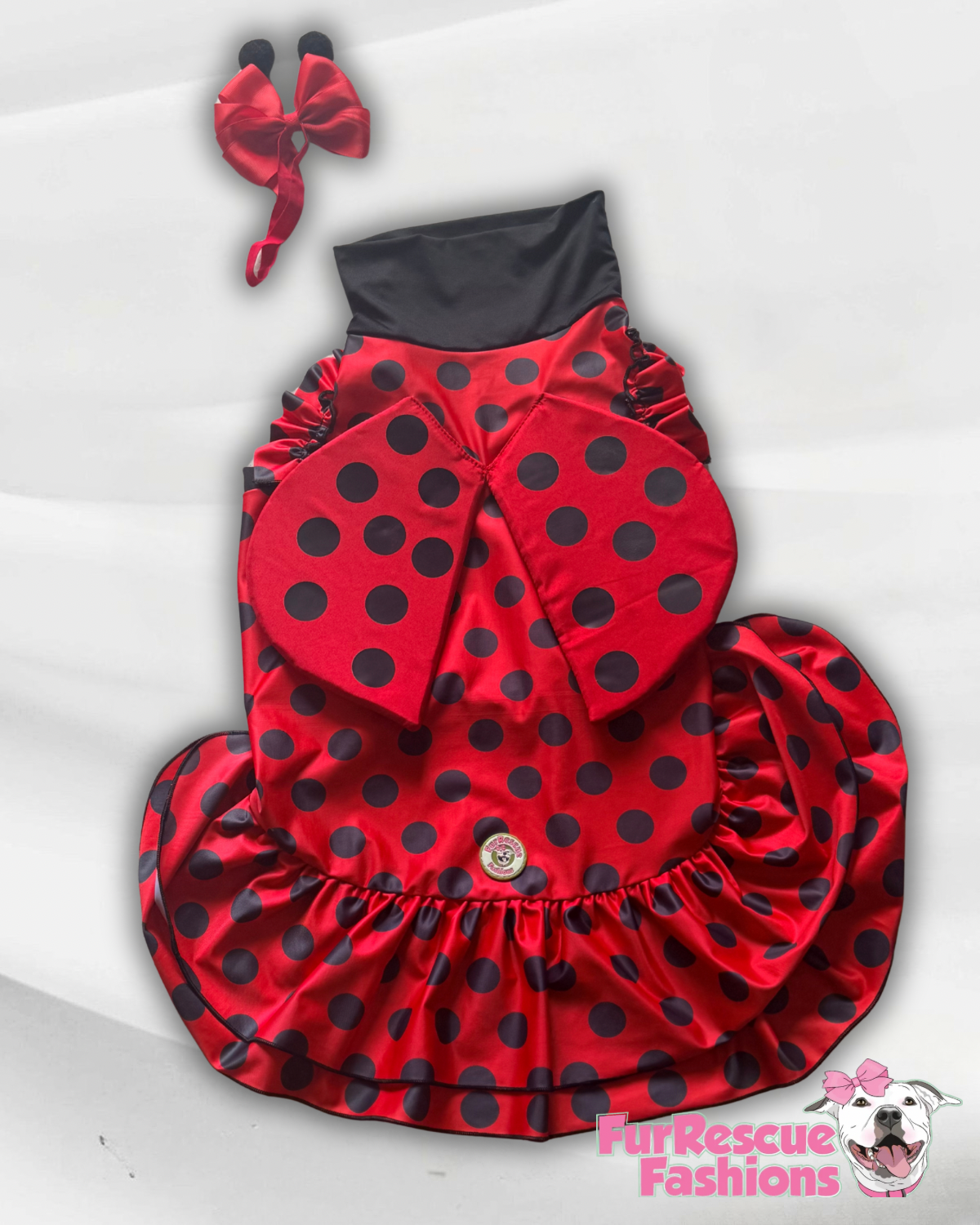 Little Ladybug Dress & Wings