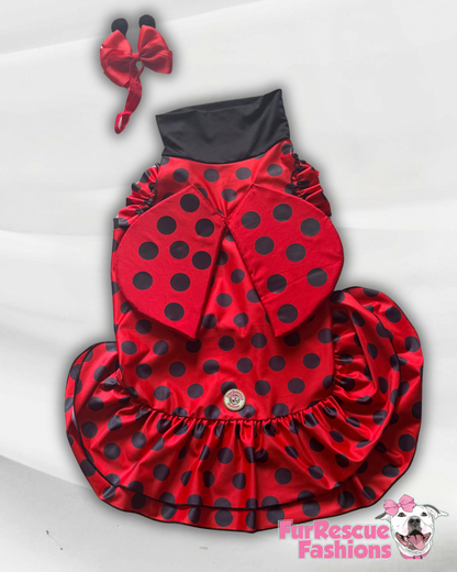 Little Ladybug Dress & Wings