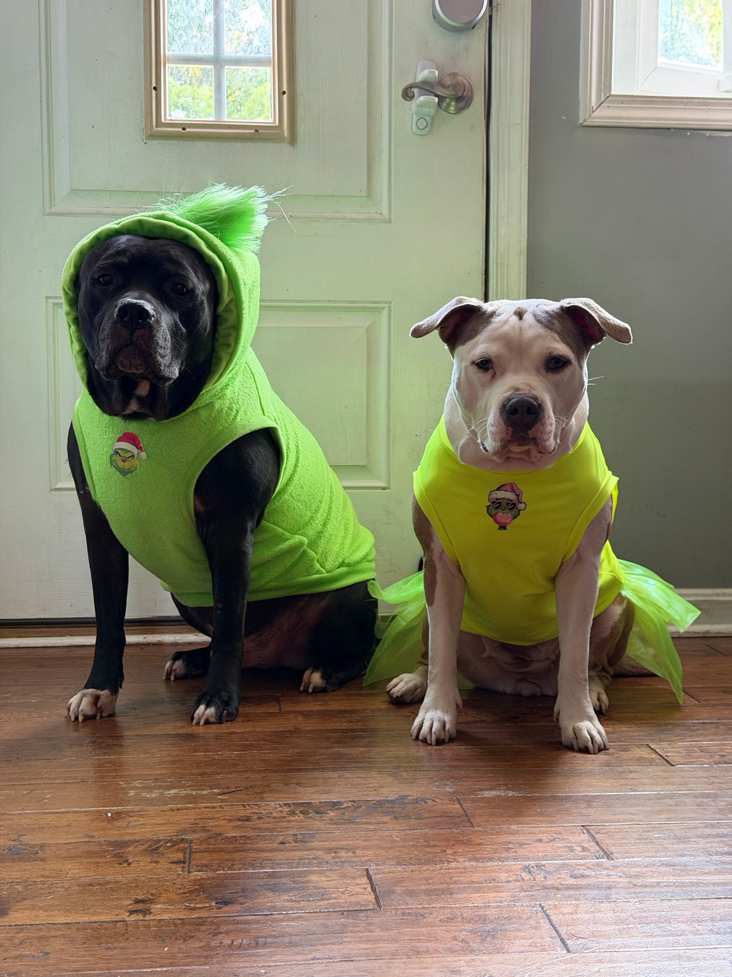 Grinch Claus Hoodie