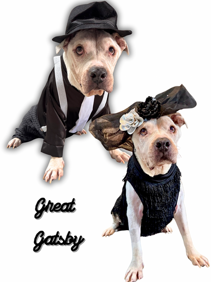 The Paw-sperous Gatsby  Dog Dress