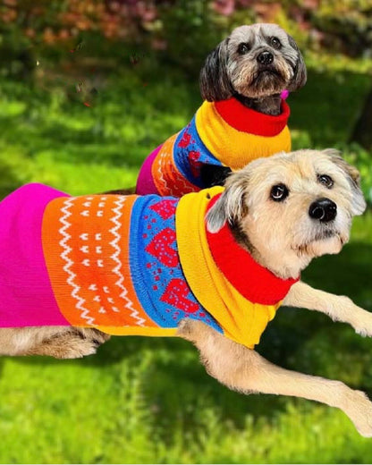 Rainbow Hearts Fair Isle Knit Dog Vest