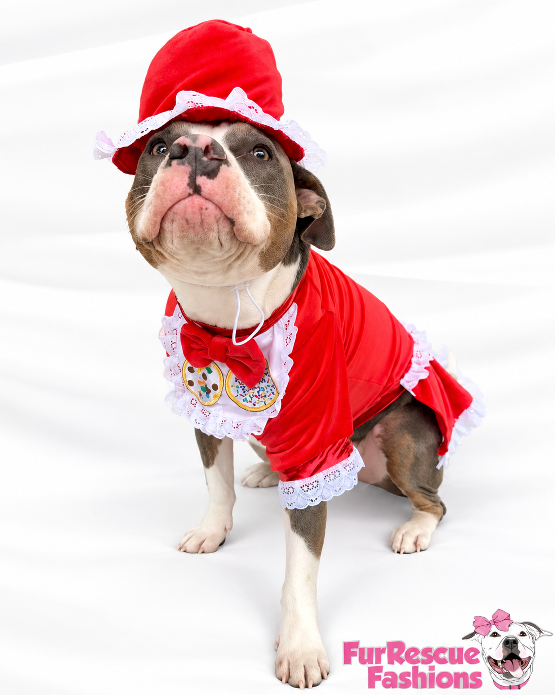 Santa’s Cookie Crew — Ultra-Luxe Dog Dress & Baker’s Hat