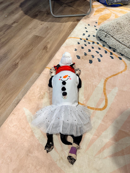 Frosty Kisses Sparkly Dog Tutu Dress