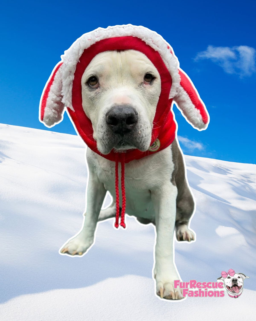 Lux Fleece Dog Winter Snood